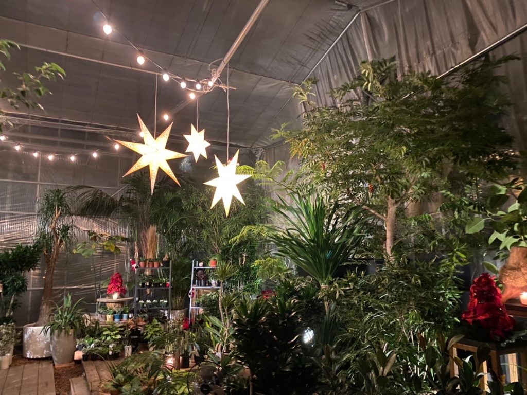 Christmas Market