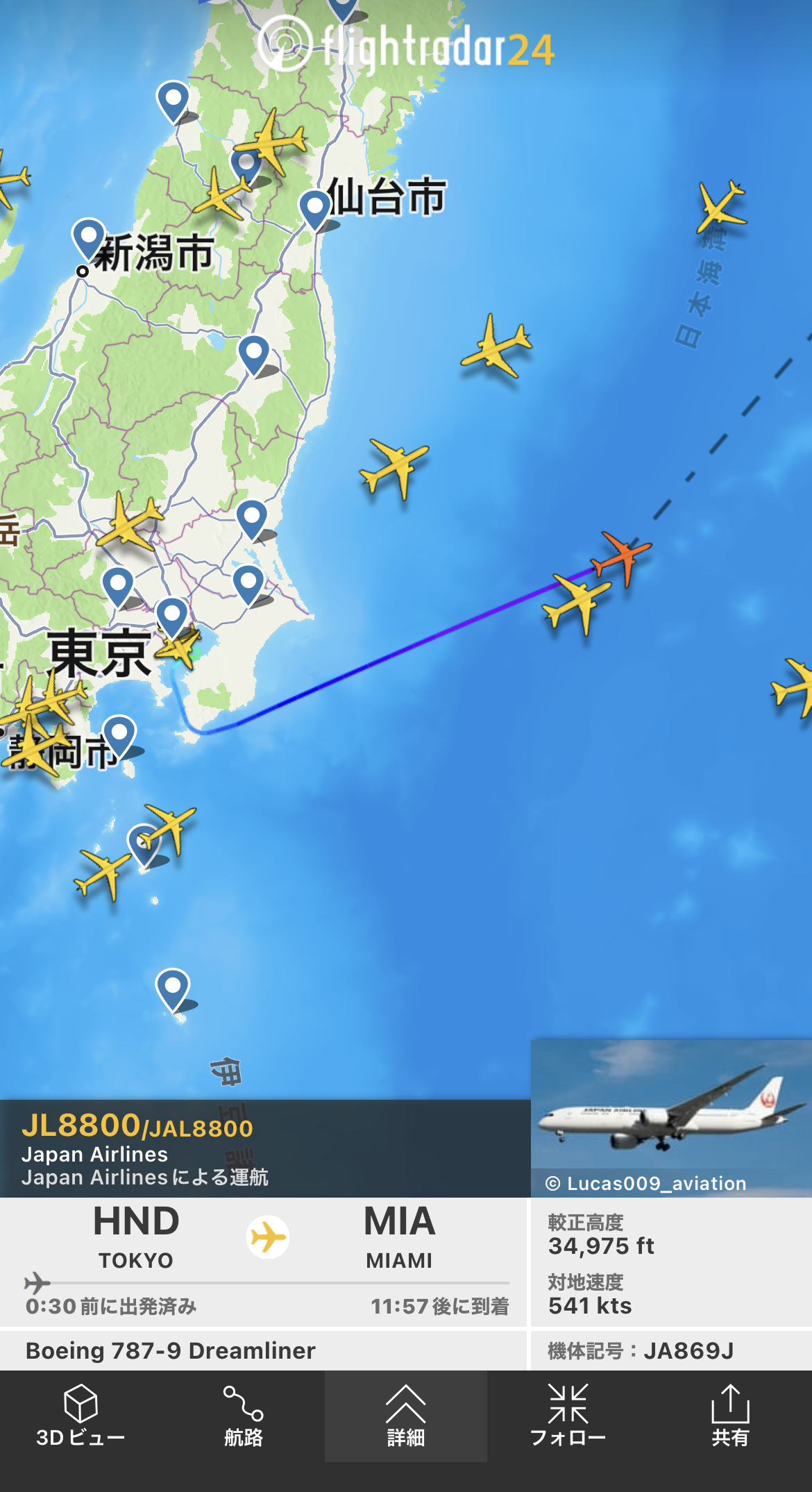 久しぶりに夢中
