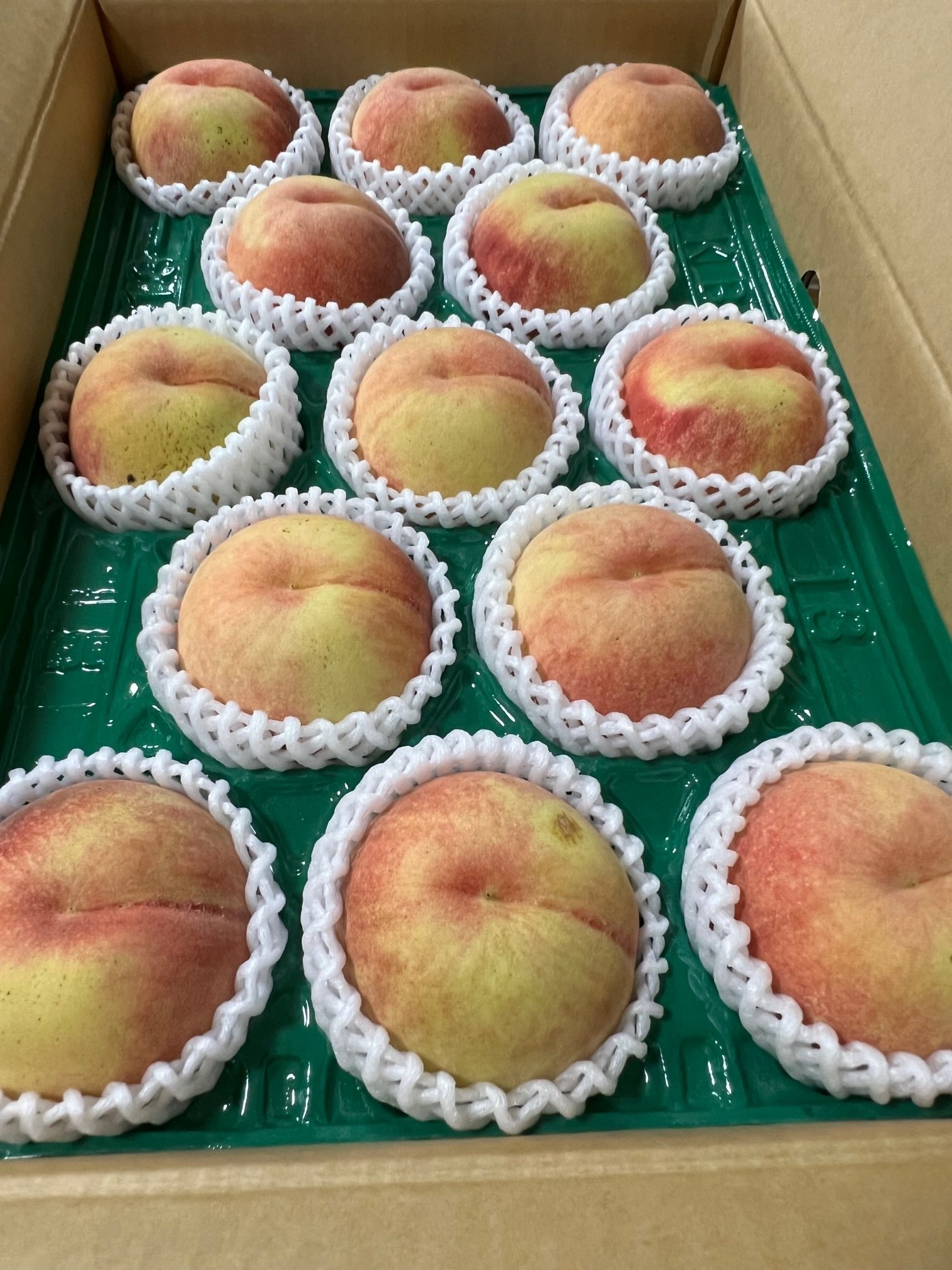 農園直送