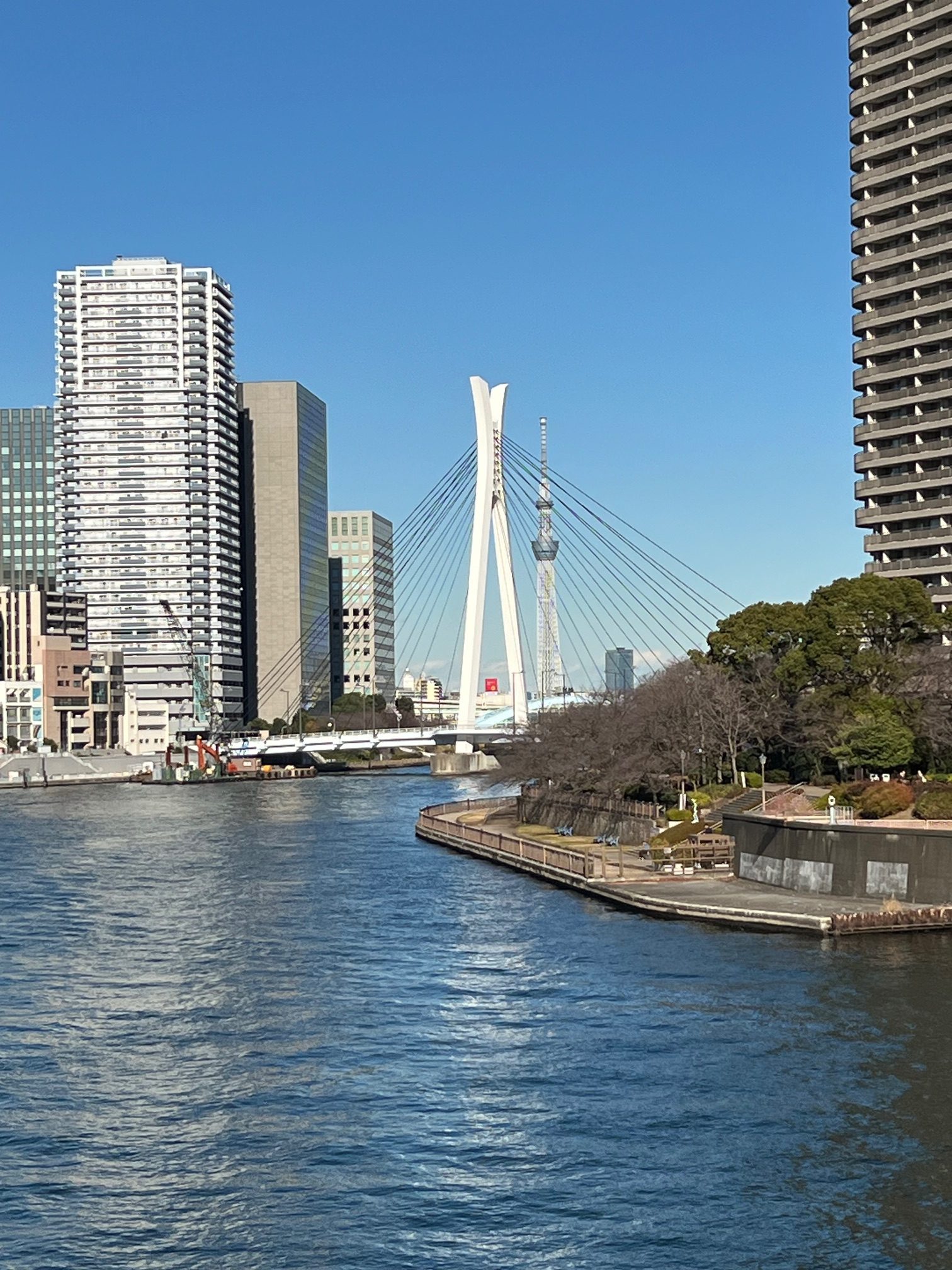 サムネイル:お散歩とお天気