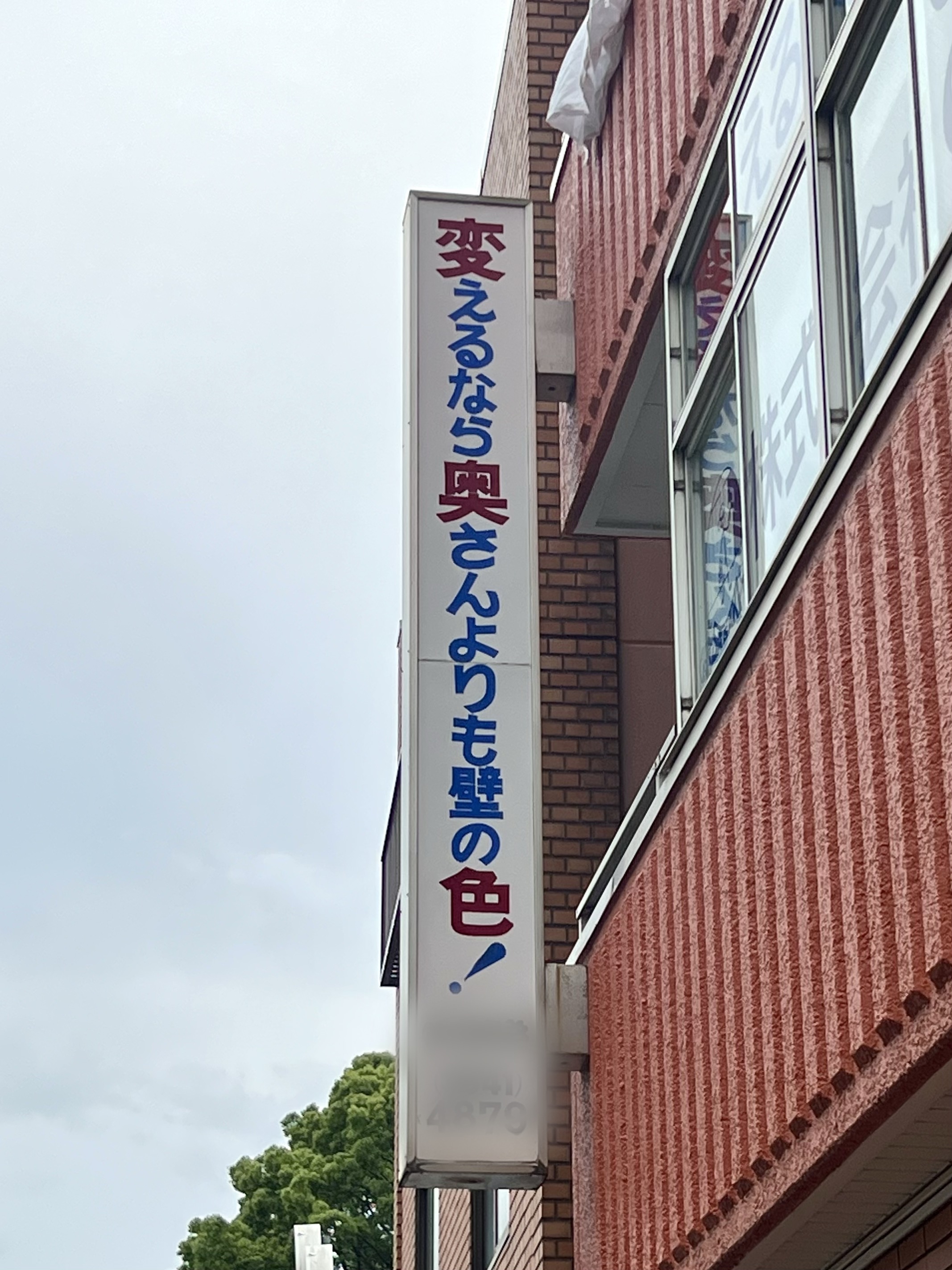 サムネイル:目を引かれましたが・・