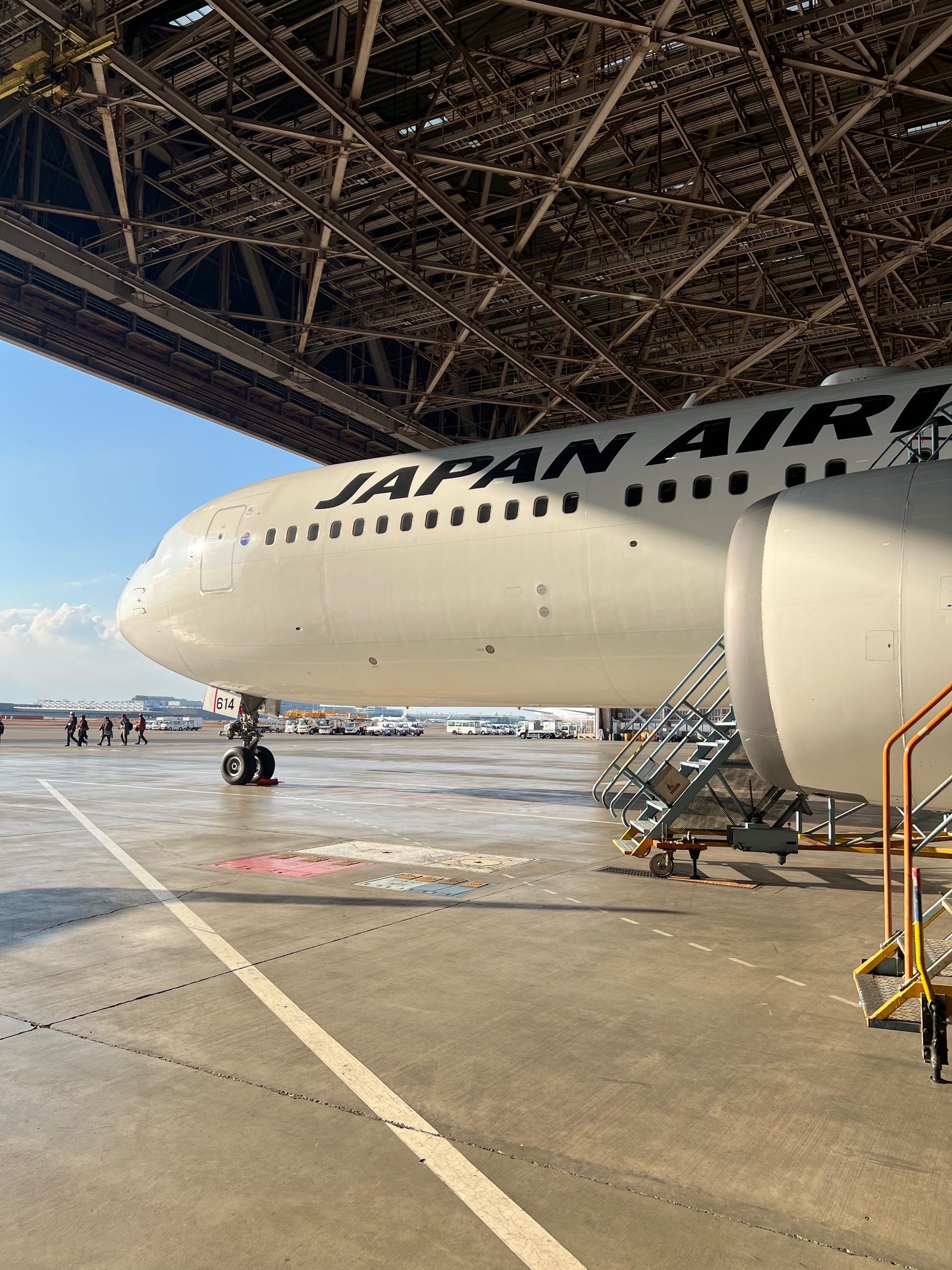 サムネイル:JAL②