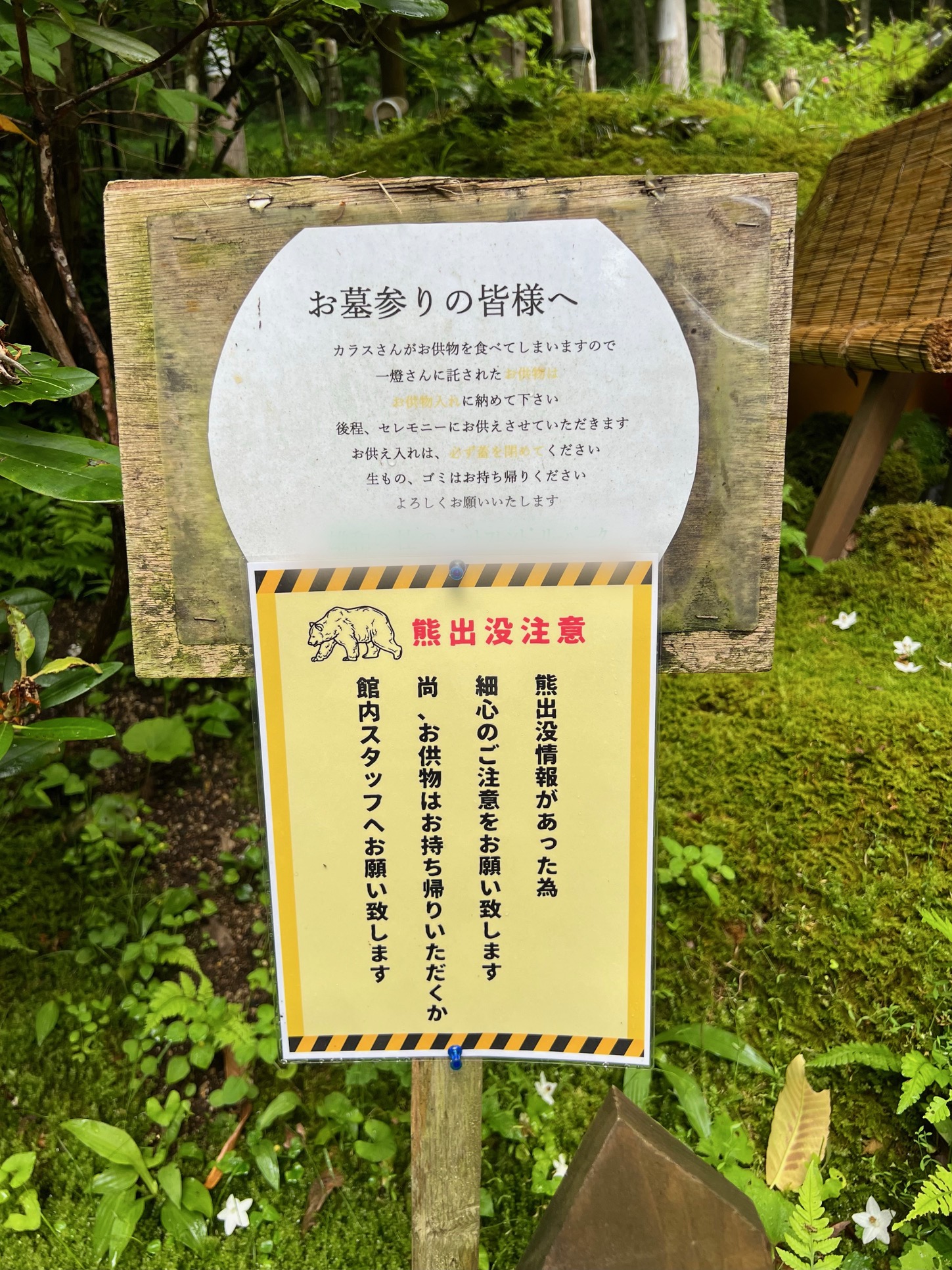 サムネイル:そりゃ出るよね！