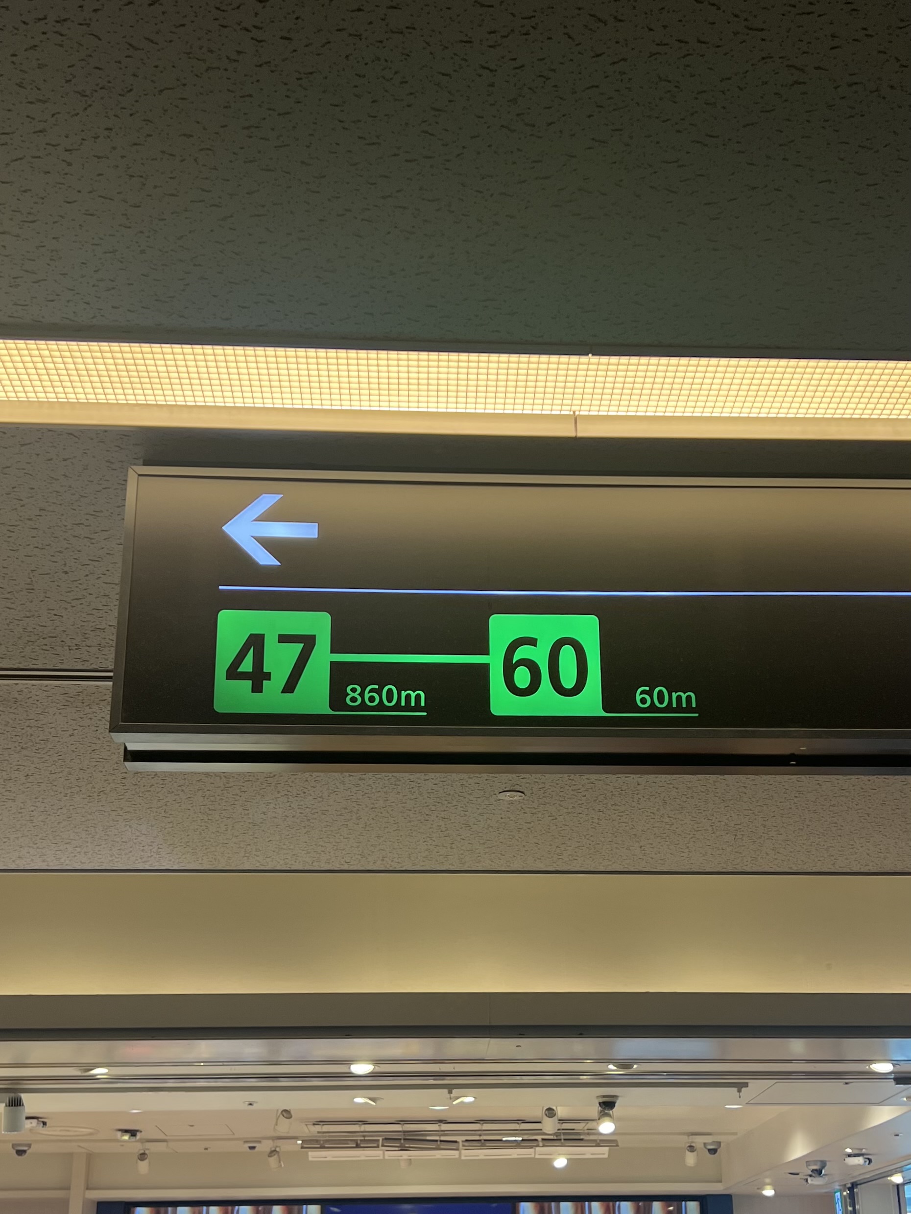 サムネイル:老体には酷です!