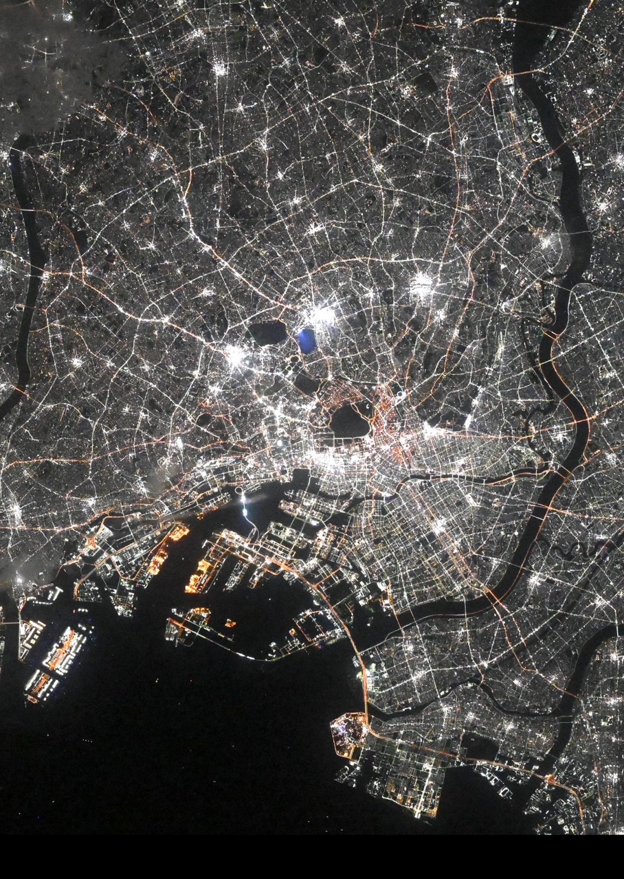 サムネイル:眩しい