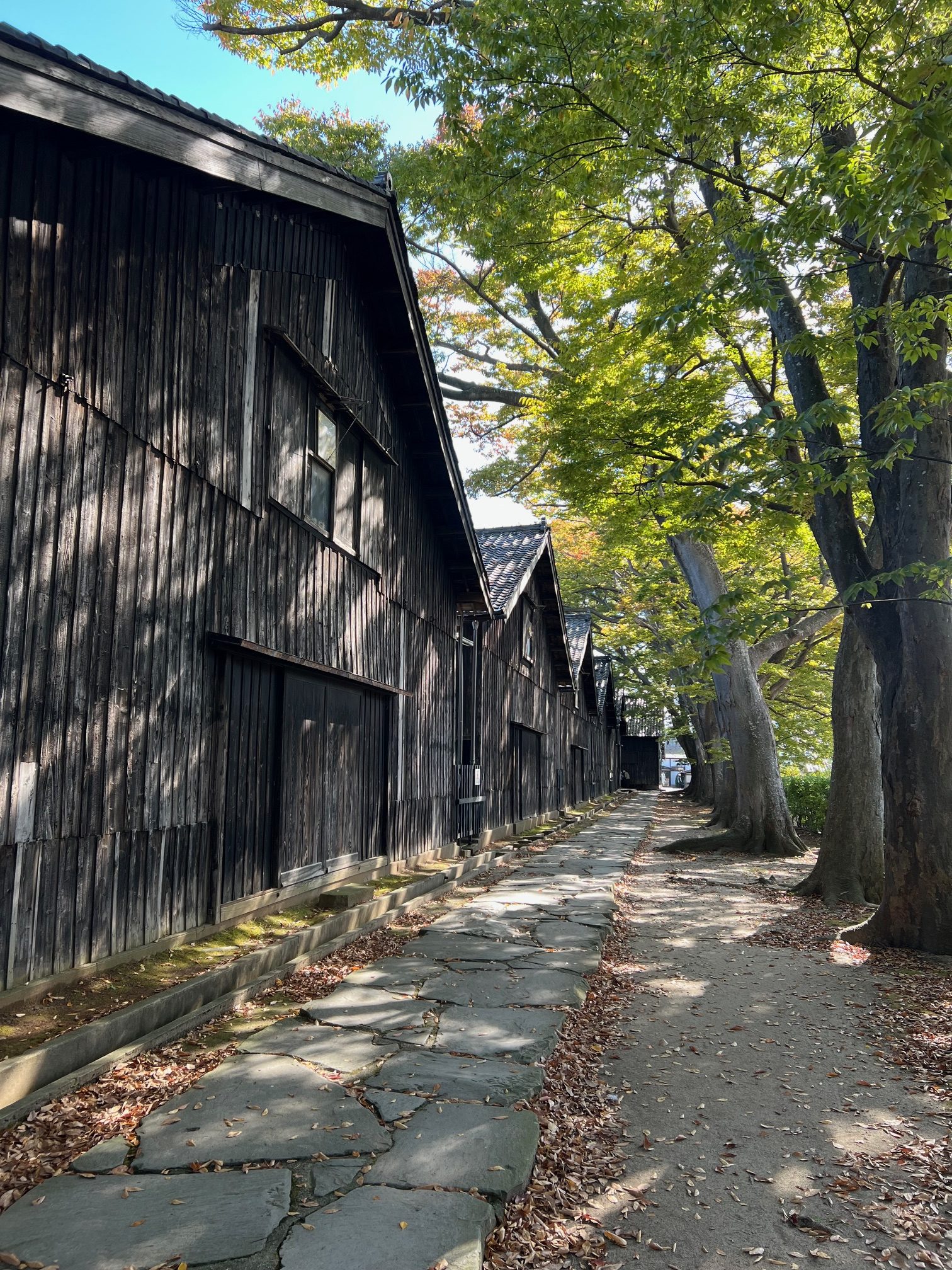 サムネイル:山形県酒田市