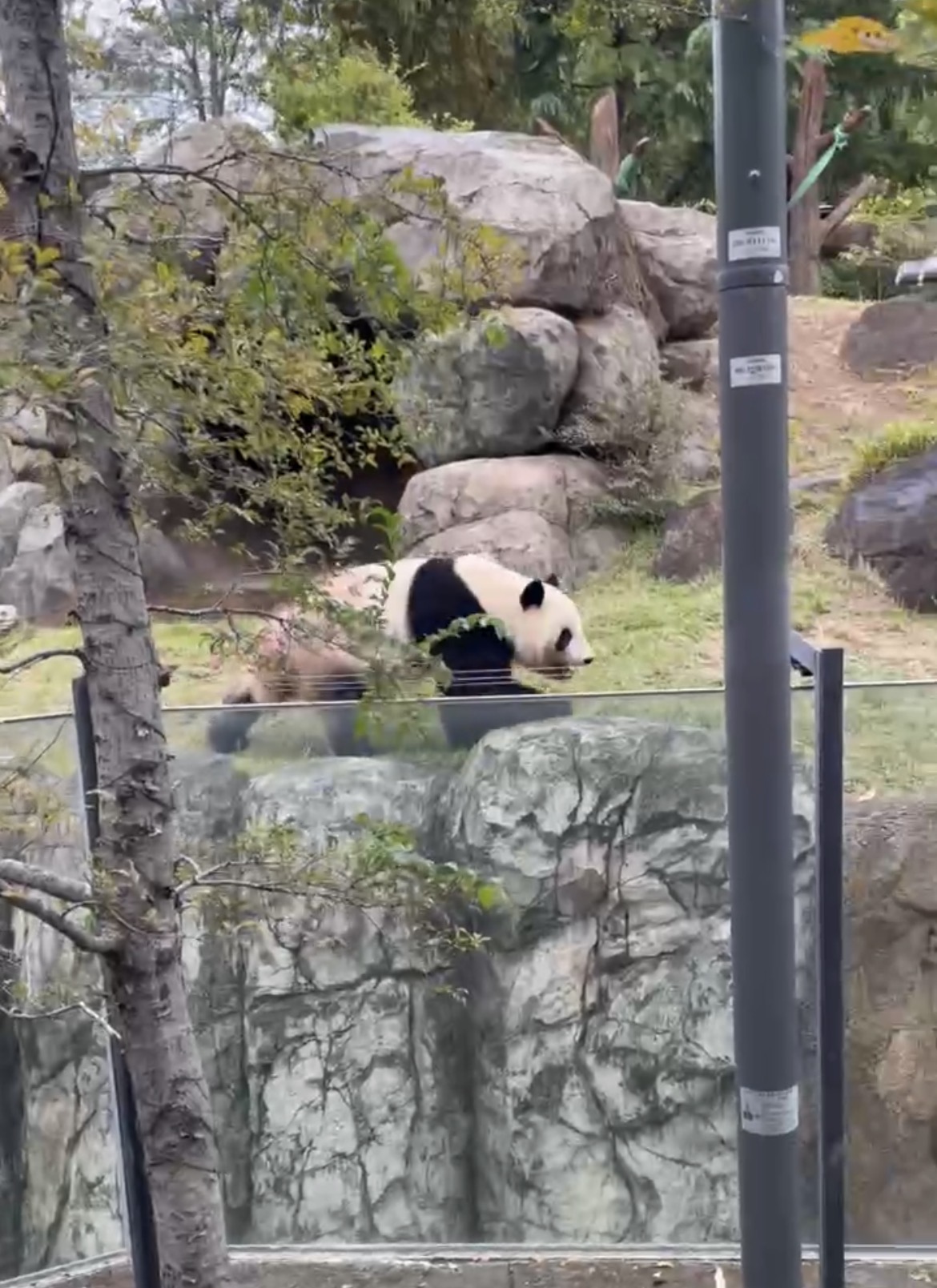サムネイル:上野動物園