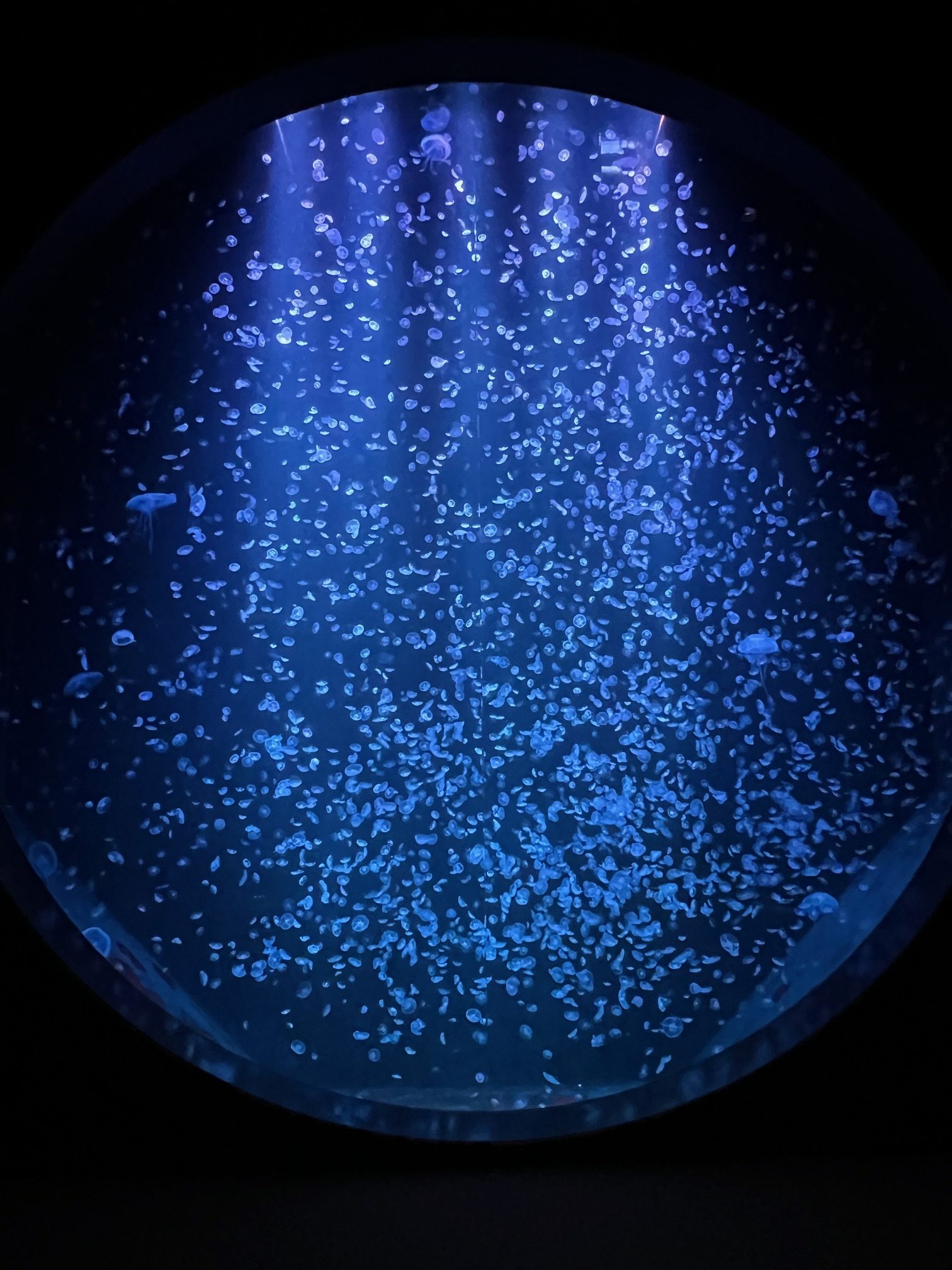 サムネイル:GAOとは違う