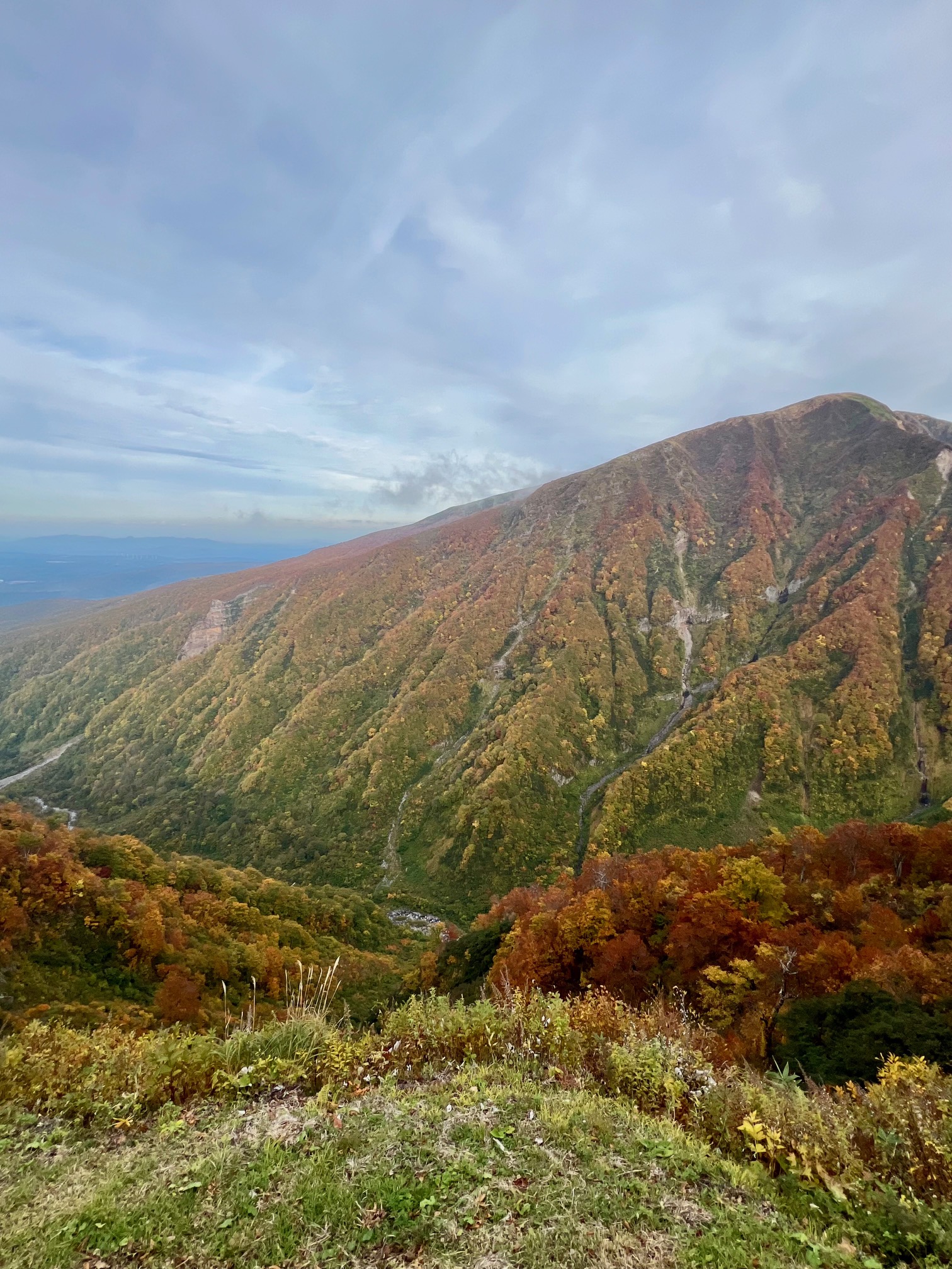 サムネイル:帰り道に5合目まで。