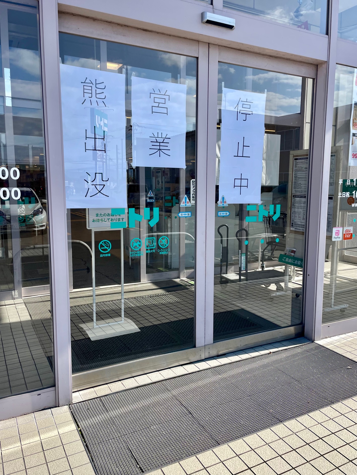 サムネイル:熊に怯える毎日