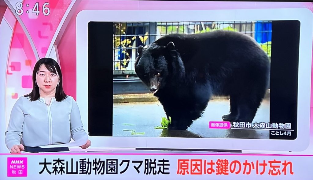 サムネイル:目を疑いました。