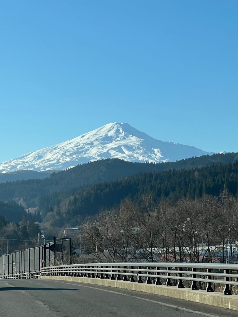 サムネイル:綺麗な姿