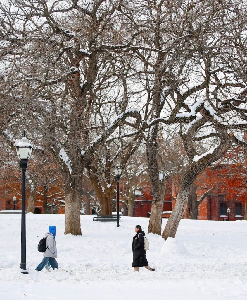 サムネイル:酷寒の地