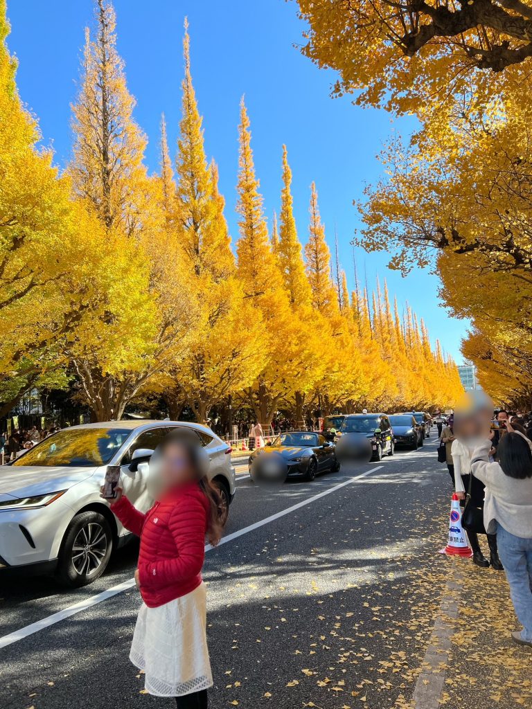サムネイル:外苑の銀杏並木