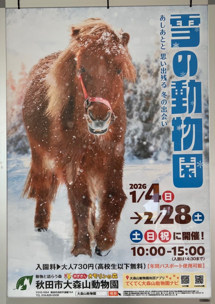 サムネイル:冬はどう過ごしているのだろうか・・