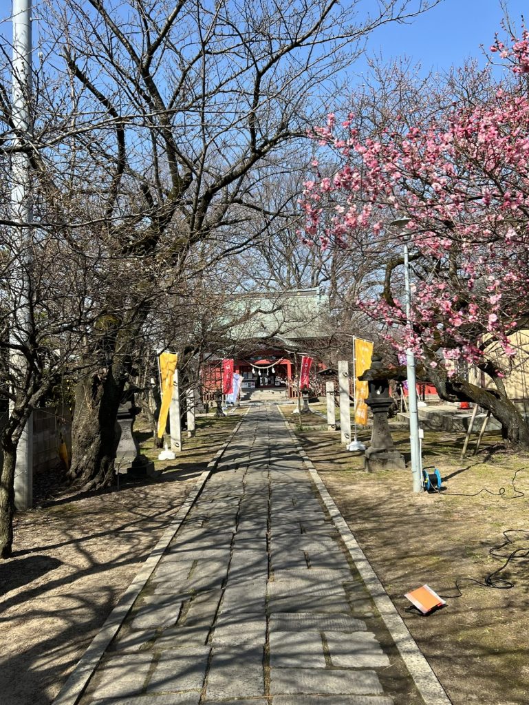 サムネイル:春が来た