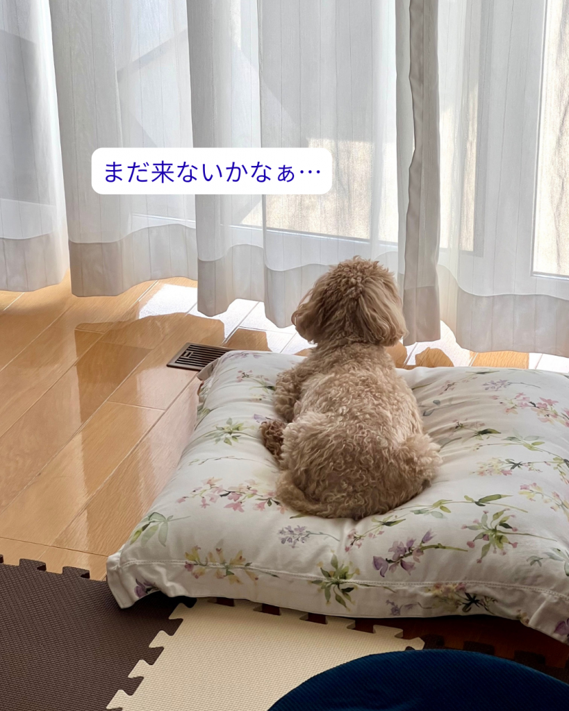 サムネイル:背中が寂しい