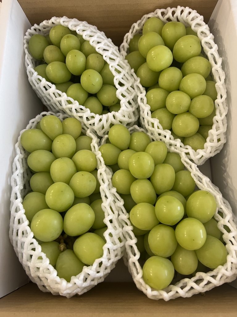 サムネイル:大粒をいただきました。